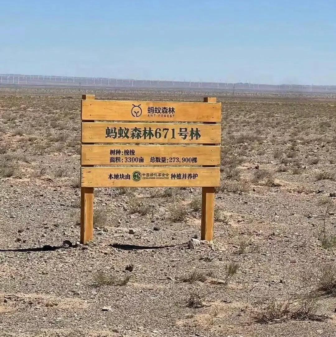 我已到达甘肃蚂蚁森林基地，各位报告你们的蚂蚁森林中种的树的坐标和位置，我去给你们