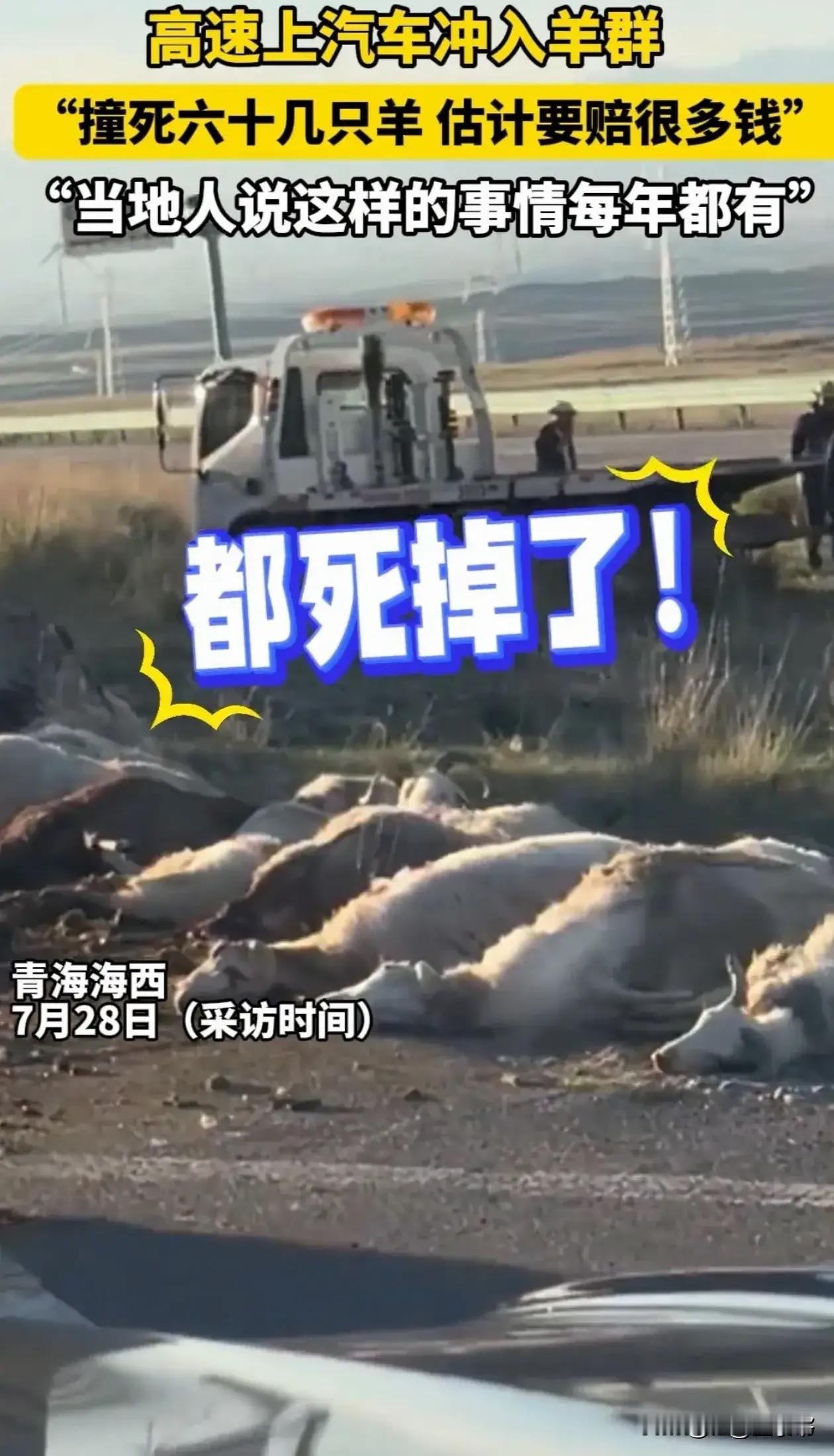 “轰！一脚刹车下去，十多万打水漂了！” 青海，一条笔直的高速路伸向天边。一辆车正