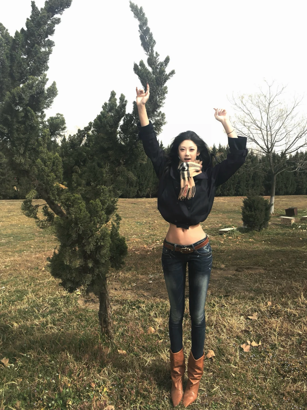 发现一颗奇怪的树🌲