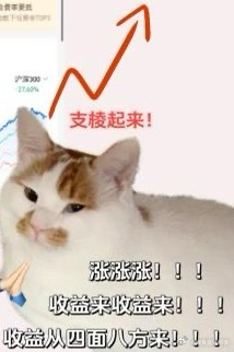 我上个月定投了黄金 ETF，现在小赚180多，这两天金价有点飘，纠结要不要先止盈