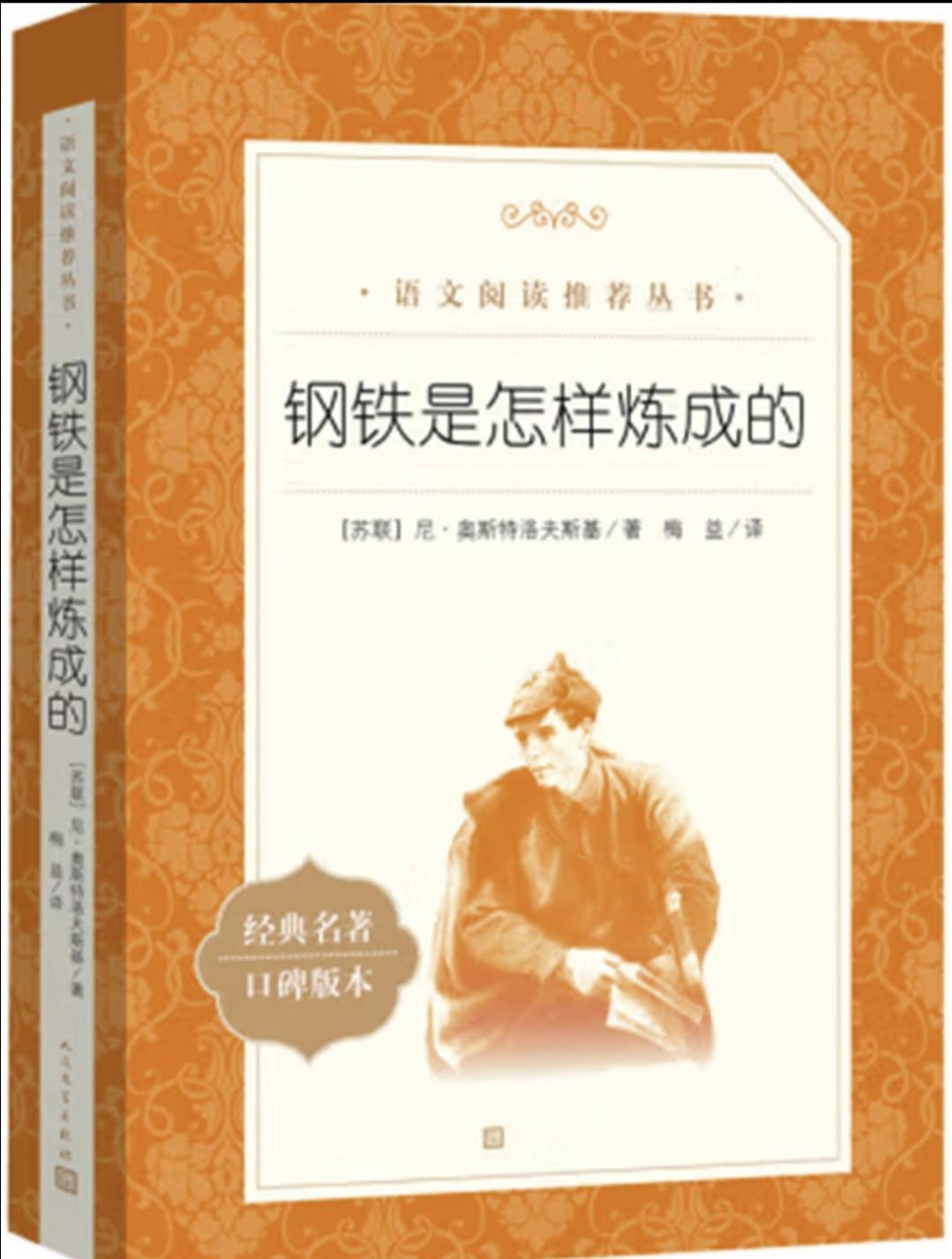 我问了某款AI这样一个问题：“我看网上一种说法，是苏联时期的小说《钢铁是怎样炼成