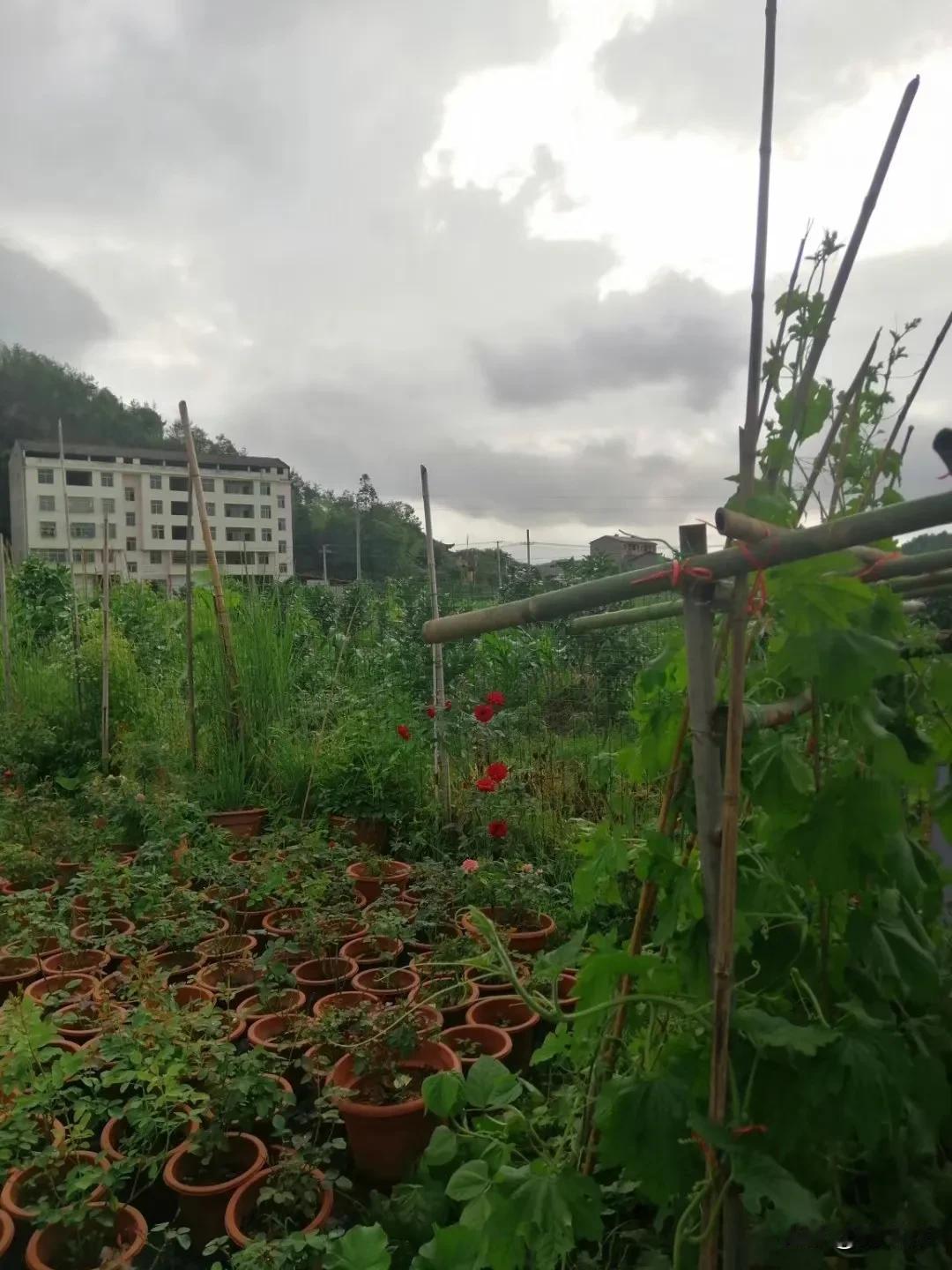 对门住的老太太，比我妈还小了几岁。

大概是十几年前，对门邻居把房子卖了，买房子