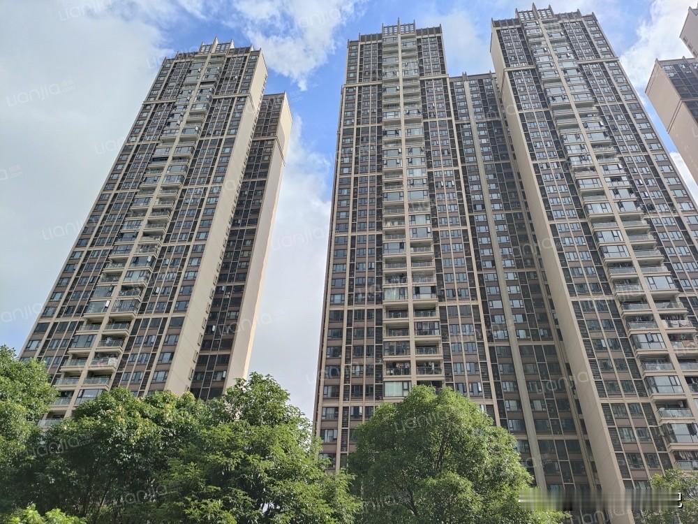 从开盘4.5万到如今2.5万，万博网红盘珠江铂世湾也扛不住了

讲真，看到珠江铂