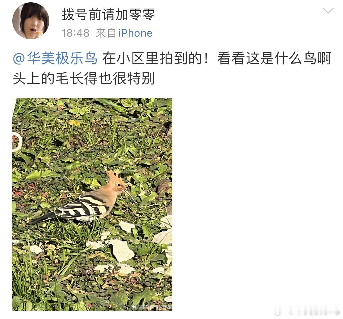 送分题环节～自信地说出它滴名字！ ​​​