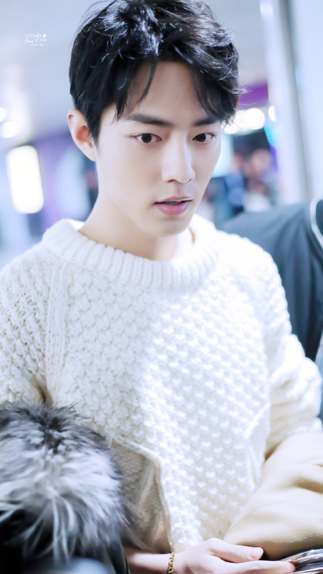 肖战星星掉进海里,糖果掉进梦里,而你掉进我心里 