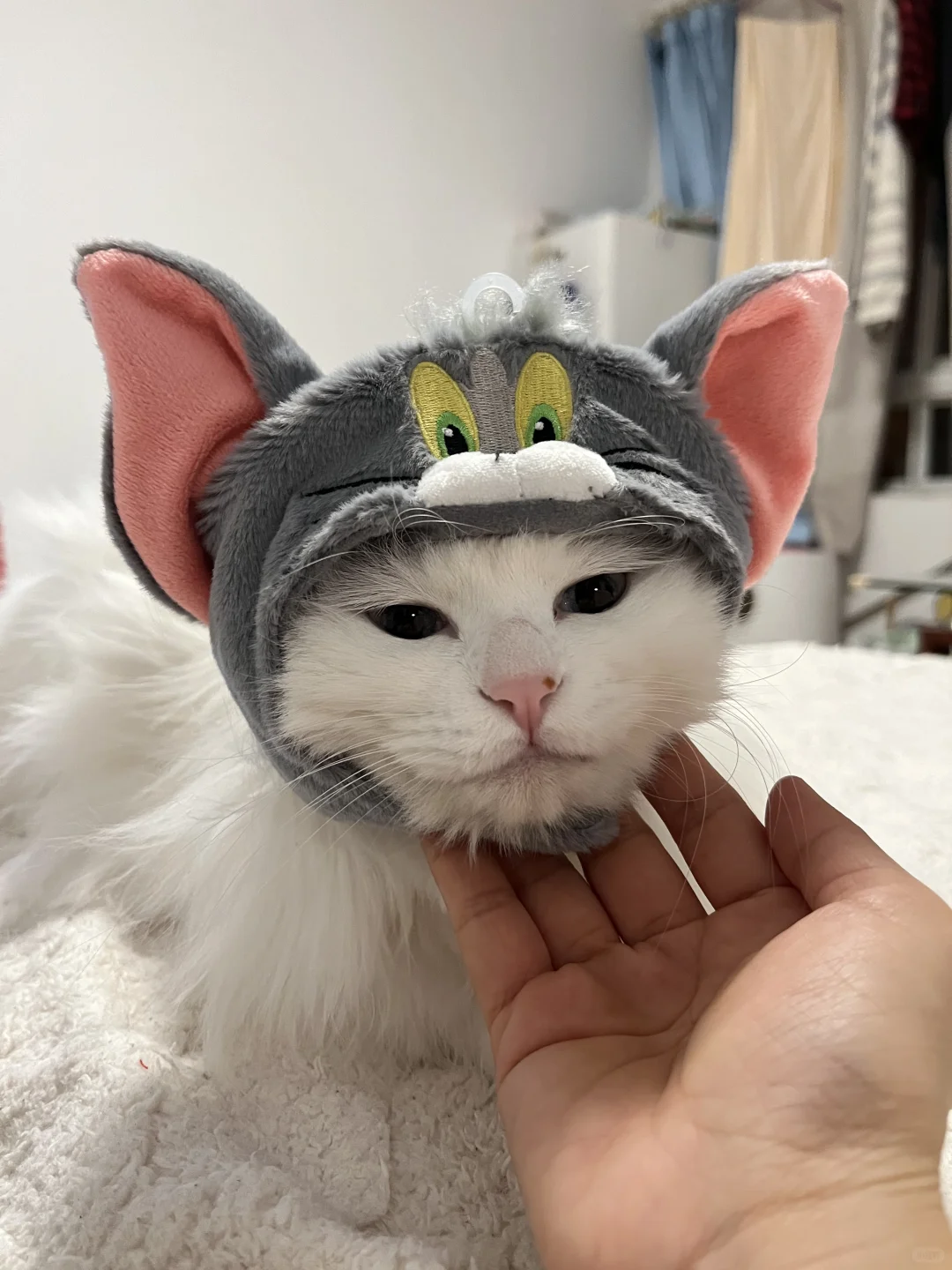 小猫咪的今日穿搭