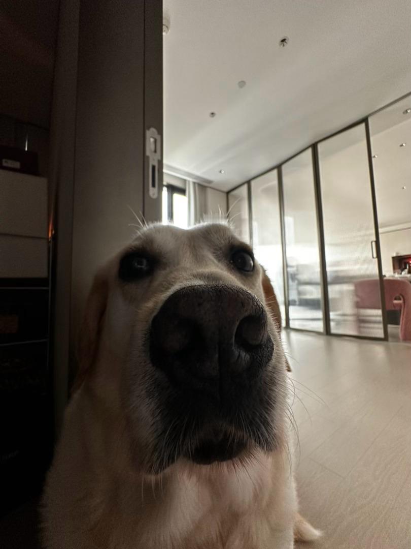 爱你的人会把你拍的很美 