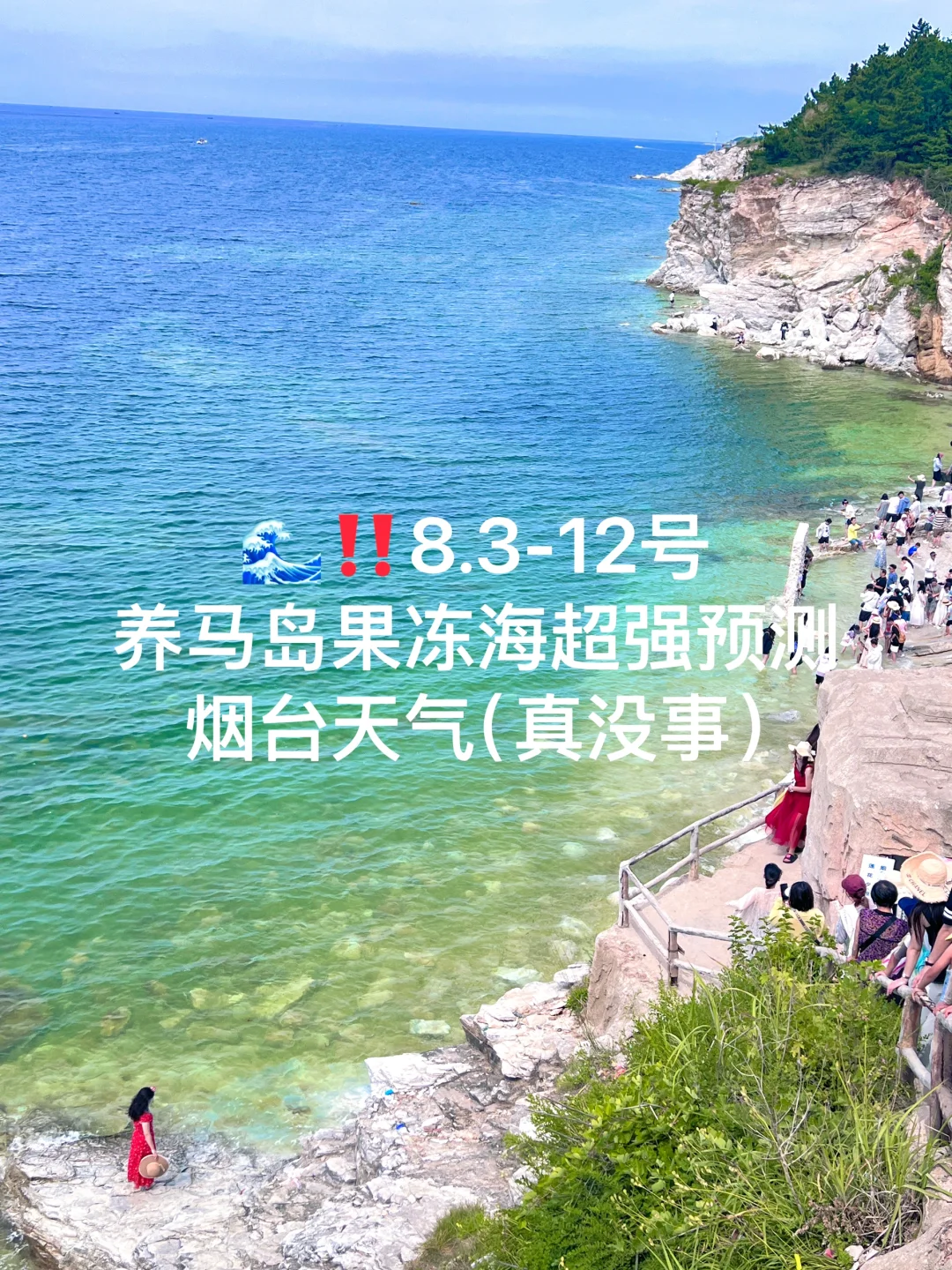 📍8.3-12号烟台养马岛果冻海超强预测