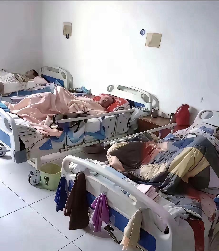 这样的养老院你愿意去吗？ 