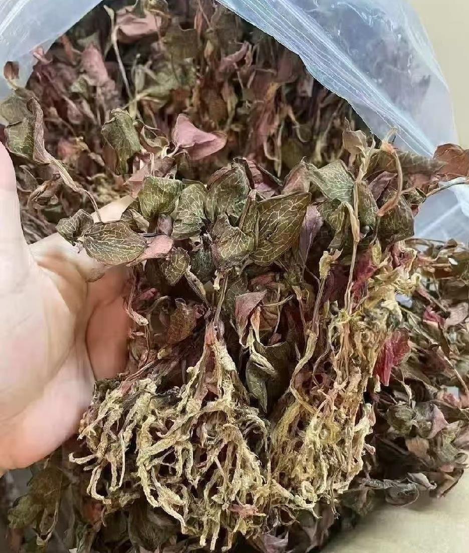 昨天买三斤金线莲，同学爸非要送，钱塞回去又撂下东西就走。
我微信转了三百，他收了