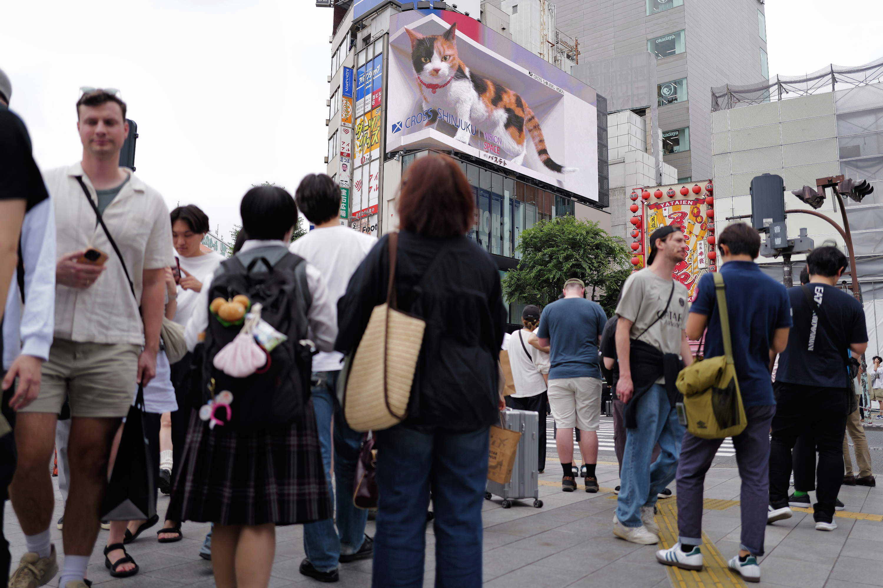 【#日本人口连续16年减少#】据《日本经济新闻》8月7日报道，日本总务省6日发布