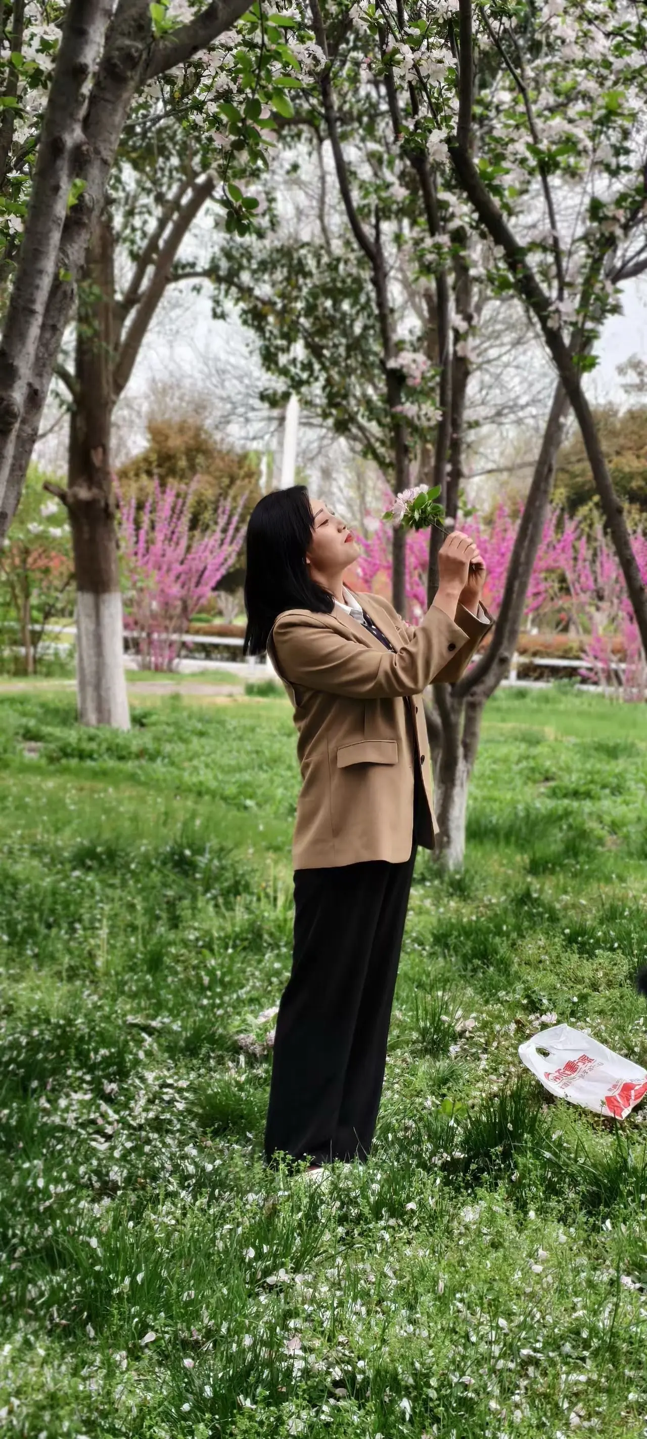 春风若有怜花意，可否许我再少年