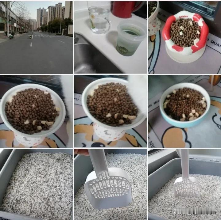 过年做了4天兼职，依然是给邻居铲猫砂。她家有两只猫了，昨晚还刷她小红书，她好爱她