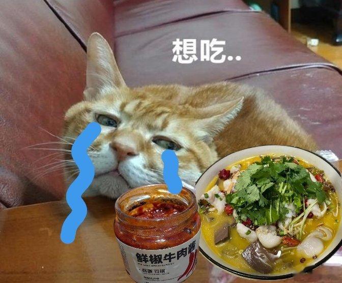 #邓伦# [酸]#火社火锅# 首页全是令人食指大动的酸菜鱼和鲜椒牛肉酱[裂开][