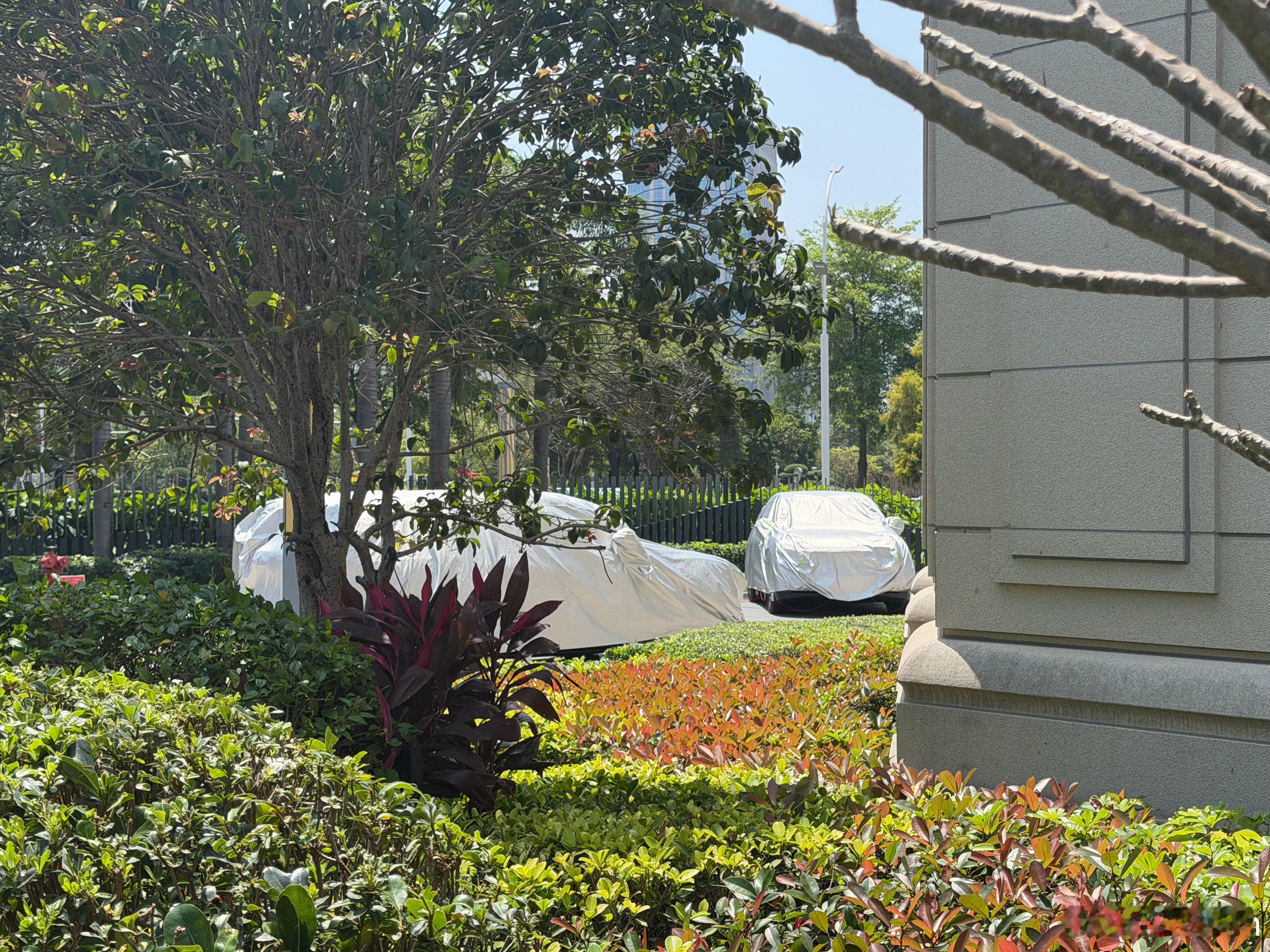 这又是哪台大宝贝呢🤔 