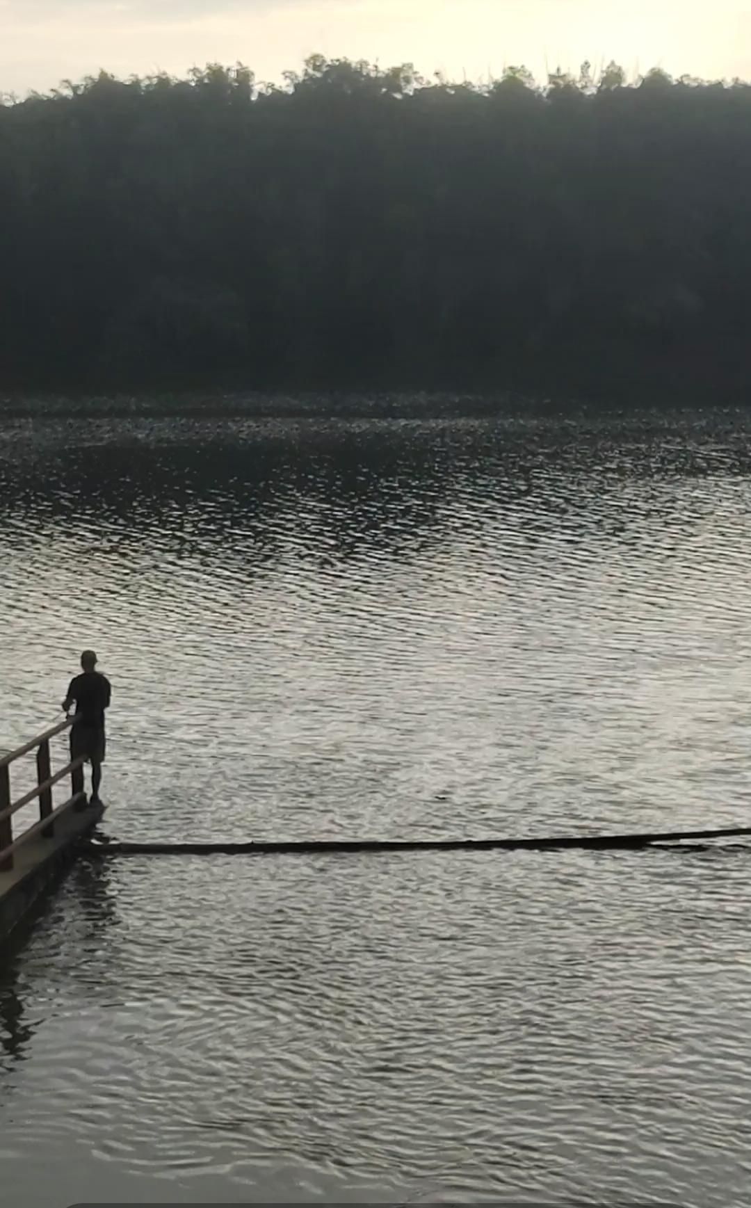广州又下雨。时而淋淋漓漓，时而淅淅沥沥，搅得天地一片昏暗。夜晚入睡，雨竟钻进梦里