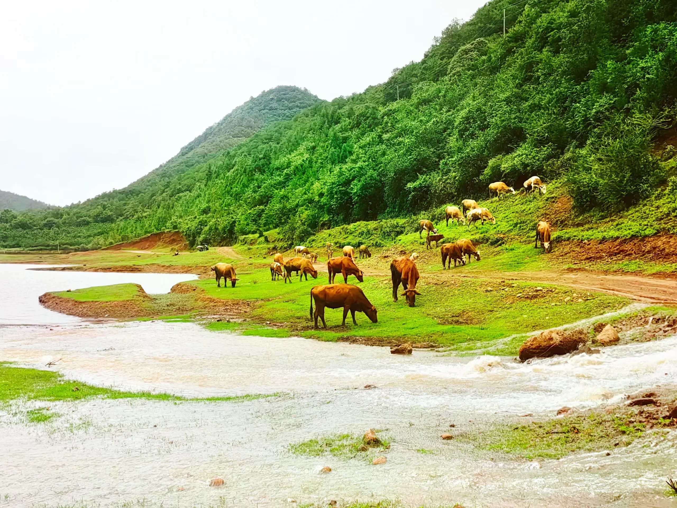 寻甸鸡街镇东海水库