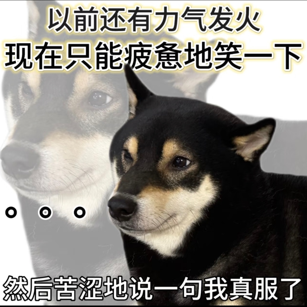 太刺激了 ​​​