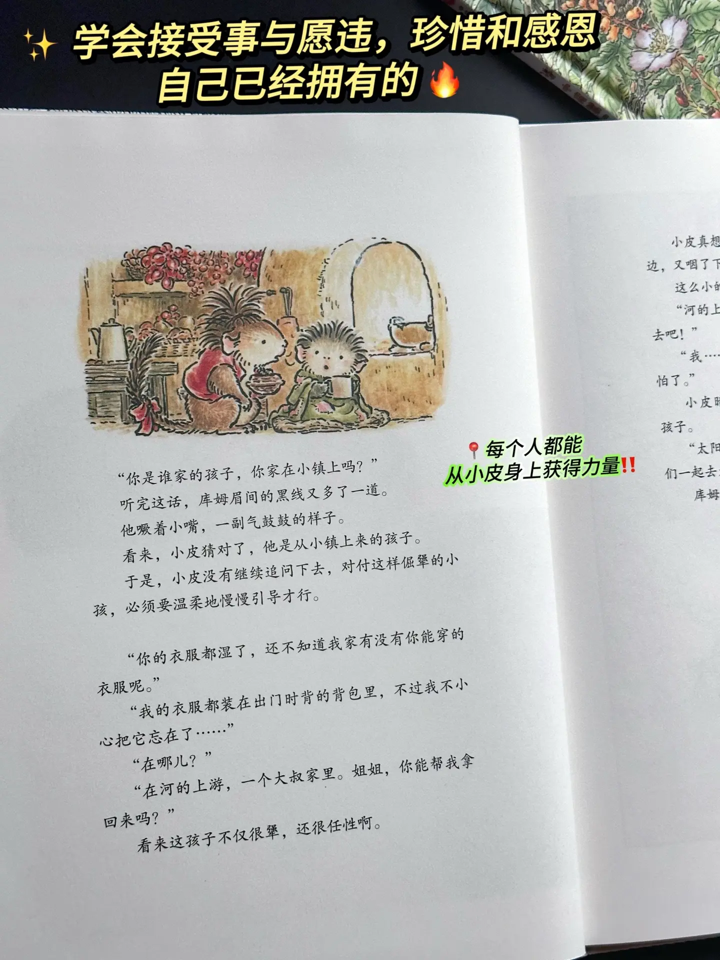 难怪评分这么高，儿子一翻开就停不下来了！宫崎骏系的画风，图文结合地呈现...