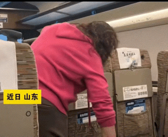 东北，一女子和母亲乘高铁，久坐五小时后母亲突然起身，女子以为母亲是坐起来走一走活
