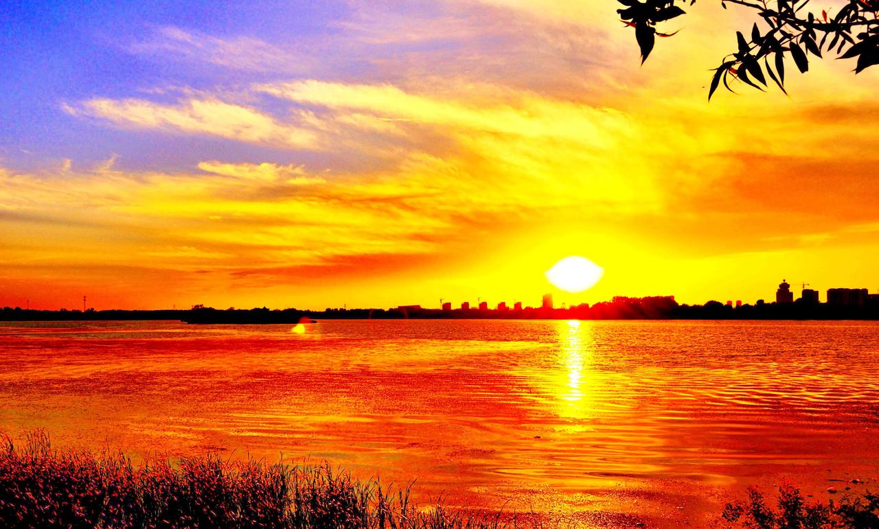 假若伊朗的追杀内塔尼亚胡令奏效，中东格局又将走向正常化。
以色列也可能会消停几年