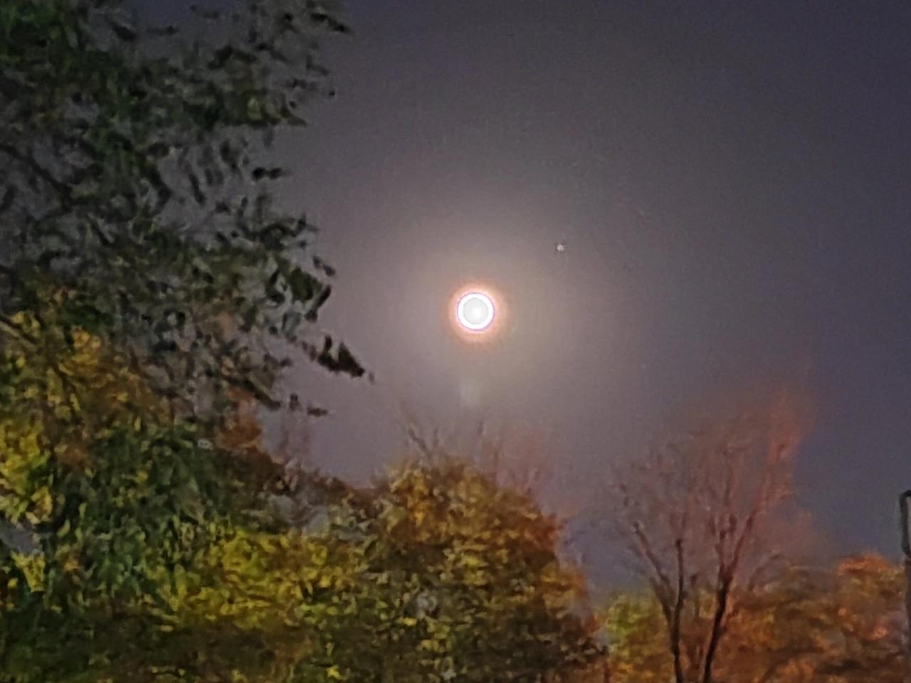 #分享一张夜晚的随手照片#