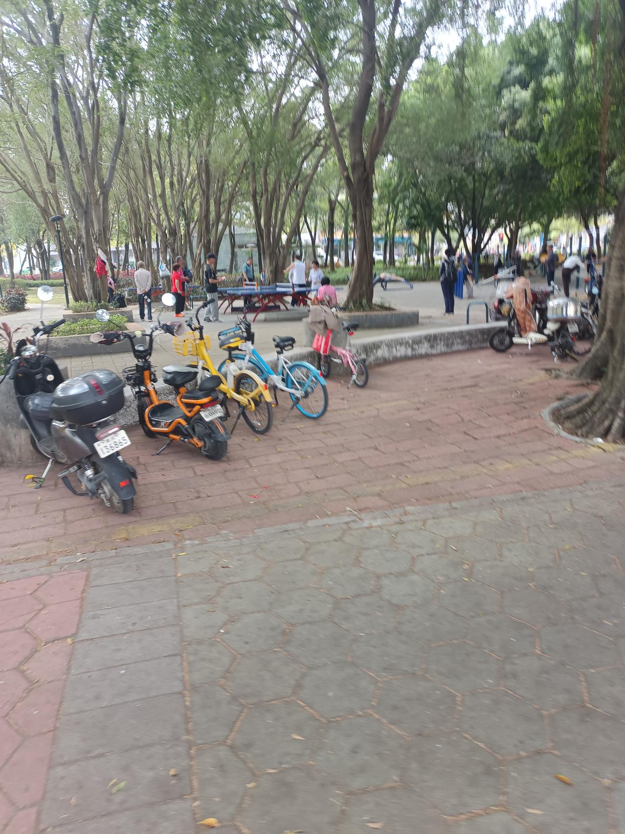 你敢相信吗？这里是是半月湖公园
每天都有很多的老人家在这里工作
旁边是一个人工湖