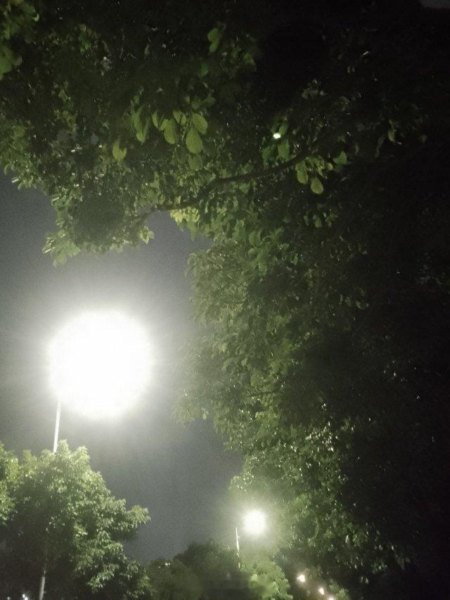 昏暗的路边树林下，一对男女搂搂抱抱亲亲摸摸，年轻人真饥渴[吃瓜] ​​​