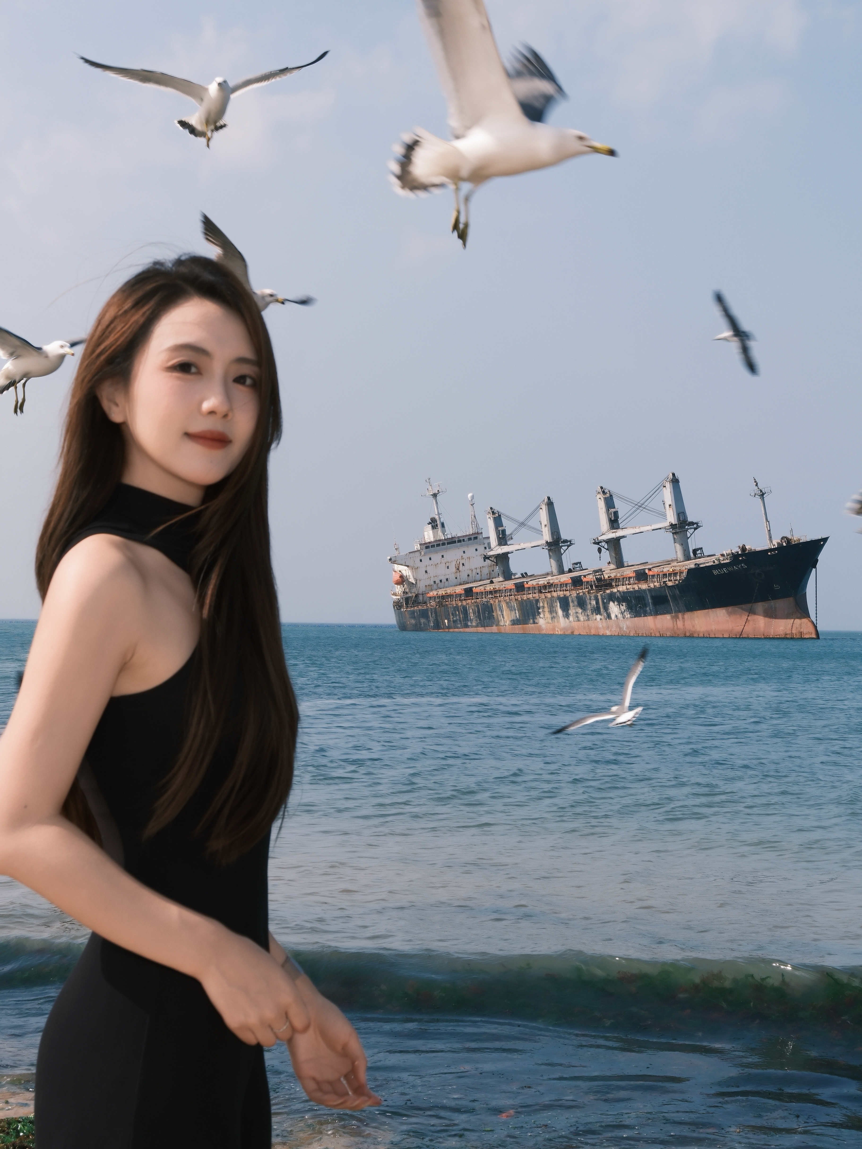 沉船拍了 海鸥真的好多 好配合 好评哈哈哈哈我的日常plog 荣成·布鲁威斯沉船