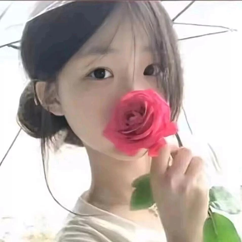 少女心爆棚！粉色的玫瑰与阳光相映成趣，美到心醉！🌸💖浅粉色的花 甜美的红玫瑰