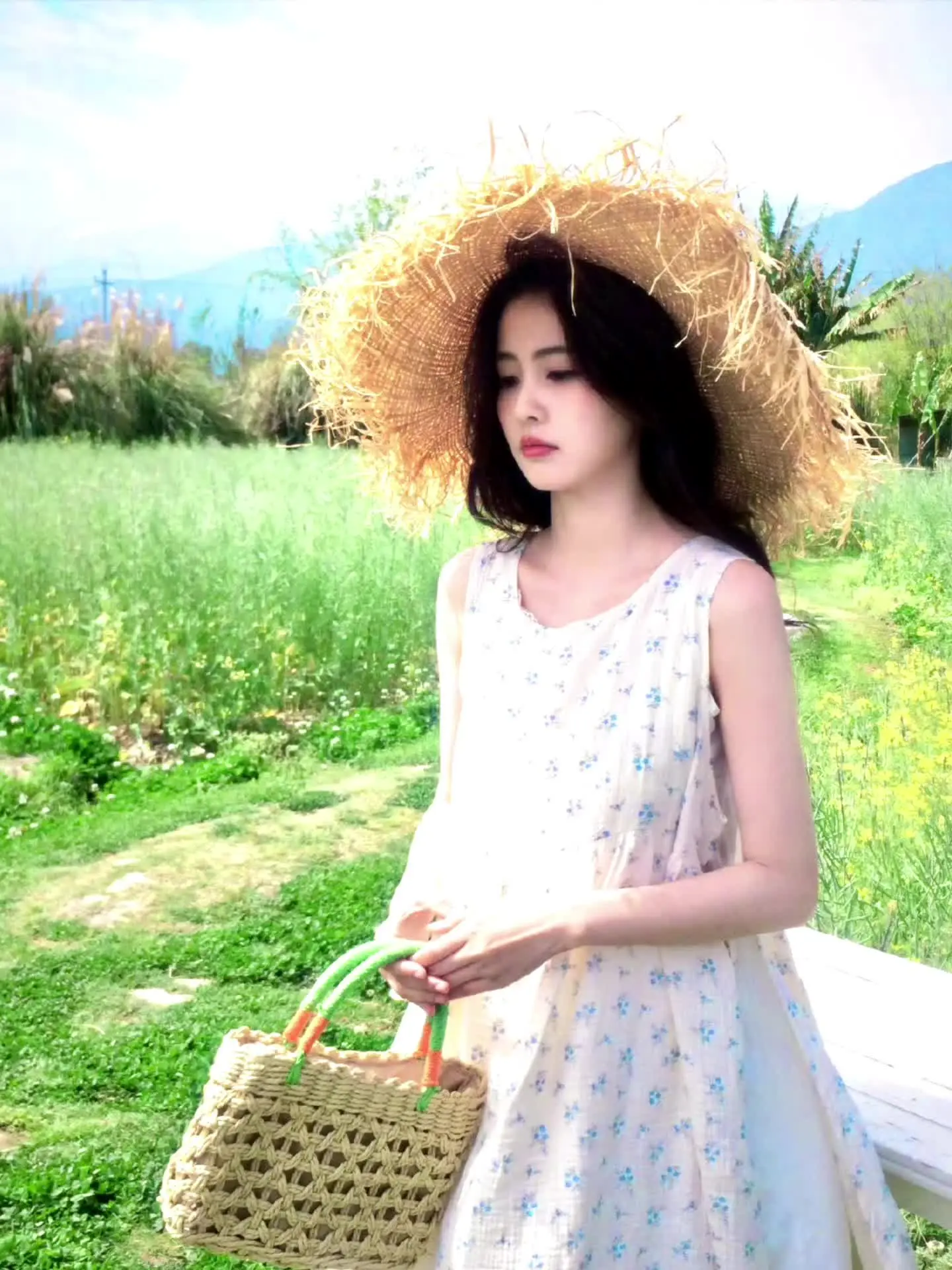 空气像青苹果，公车开满花朵