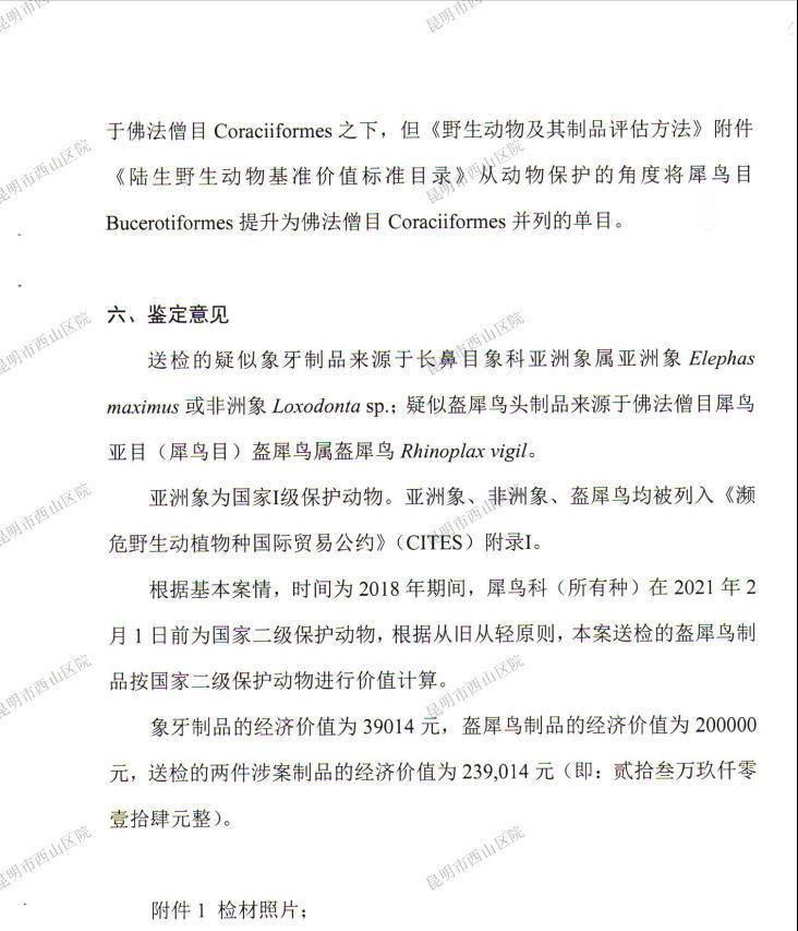 20万吊坠，竟成了张莉娜的“噩梦”，判10年刑，罚款10万！这背后隐藏的，竟是一