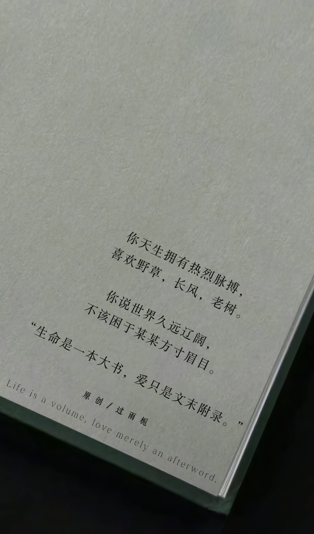 “生命是一本大书，爱只是文未附录。” 