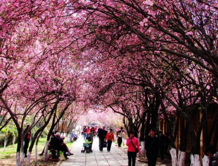 周三大A延续中阳反弹态势，周四沪指MA5的得失成为关键！
回顾周三的大A表现，三