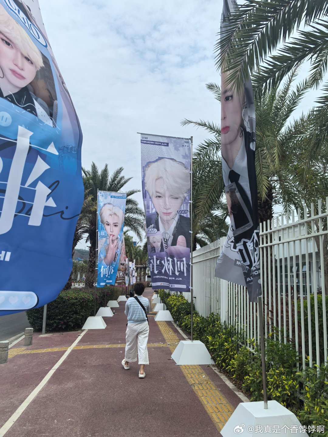 我的旗还没安装上明天再喽一眼 三亚·三亚市体育中心-白鹭体育馆(1号门)