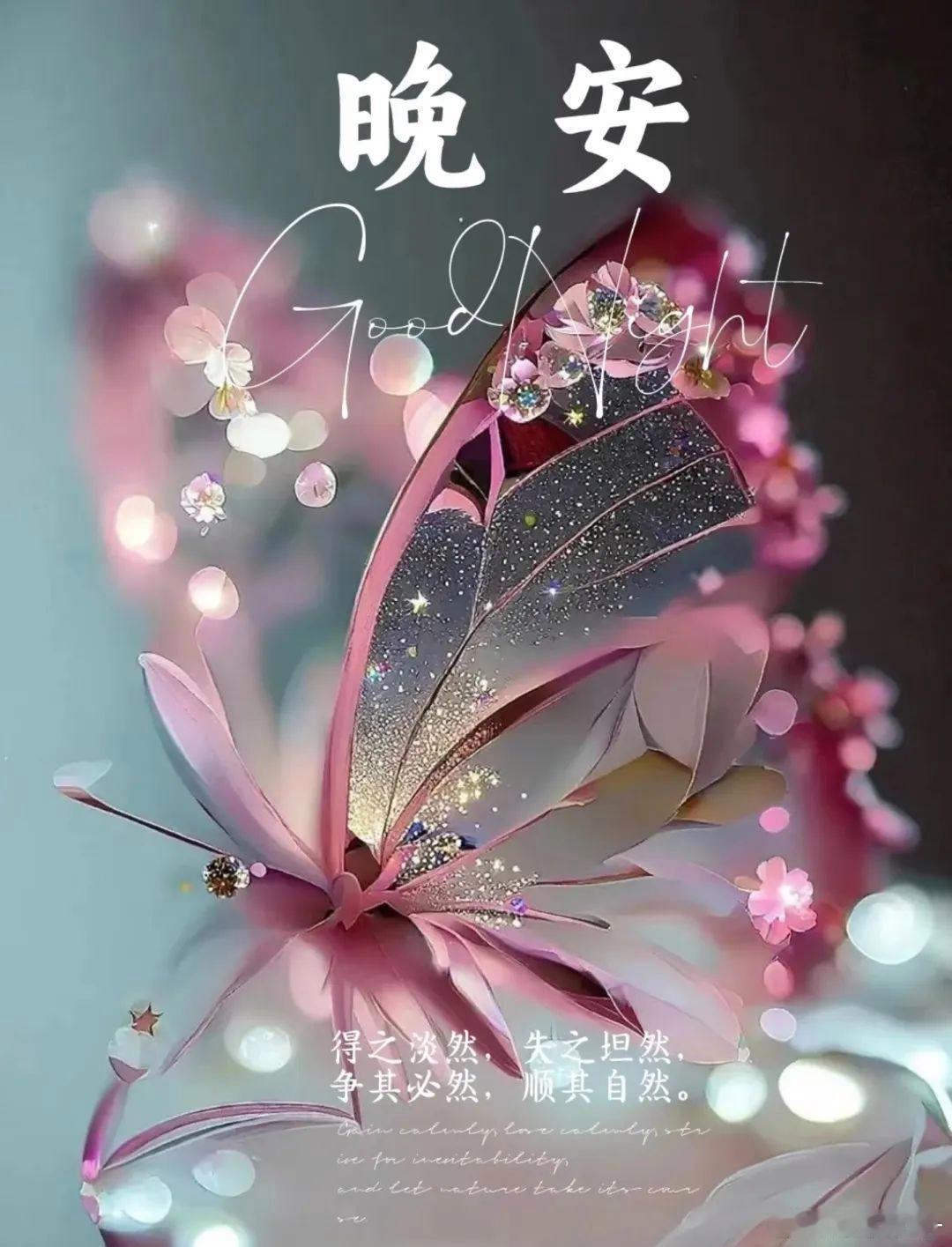 晚安你一定要相信，不会有到不了的明天的。晚安，好梦！ 