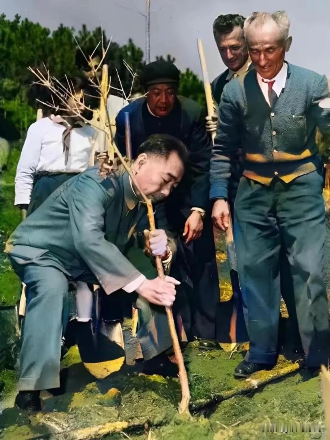 1964年3月3日，地点昆明，周恩来来到昆明视察，周总理和随行人员来到海口林场，