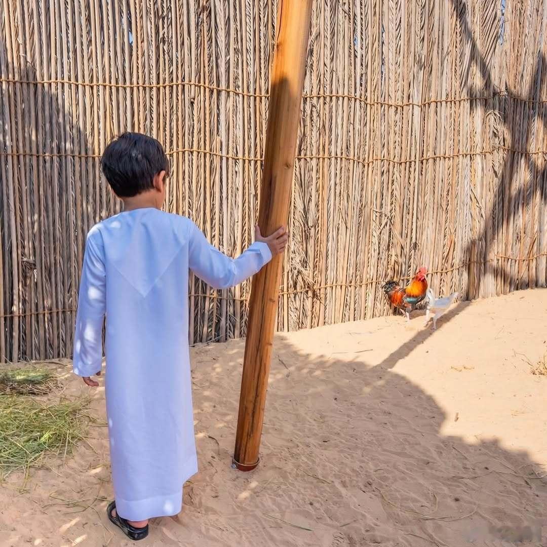 迪拜王室🇦🇪12月28日，哈曼丹王储带着二房生的长子拉希德和长女谢克哈公主参