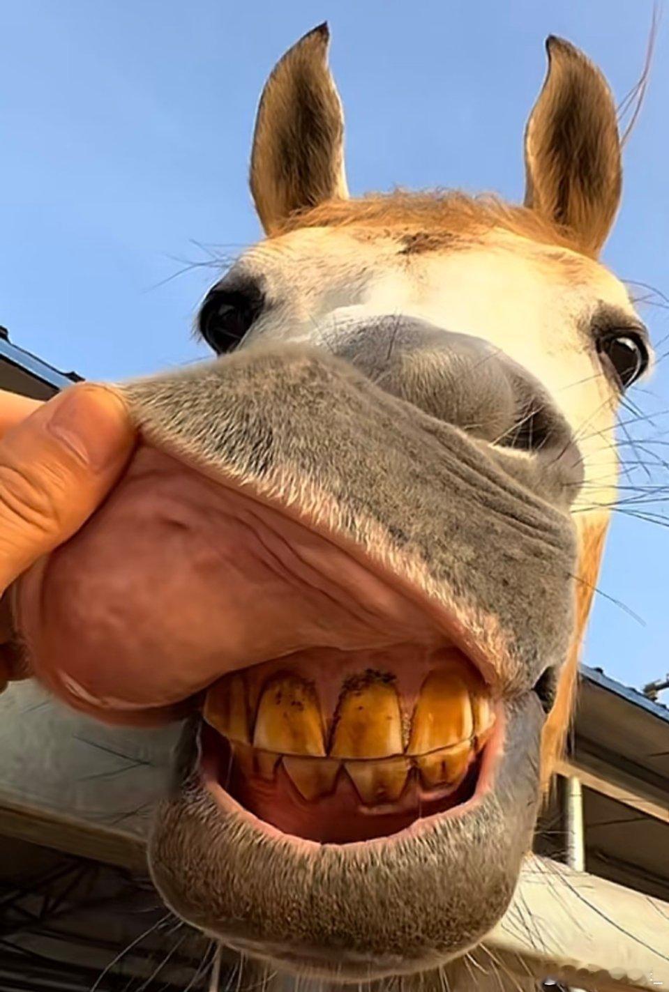 爱抽烟男人牙都这样小哥哥你继续 