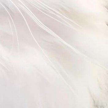 阳光信用 🌸阳光信用 每日‬一善 勿起不善之念,勿阅不善之书,勿听不善之乐,勿