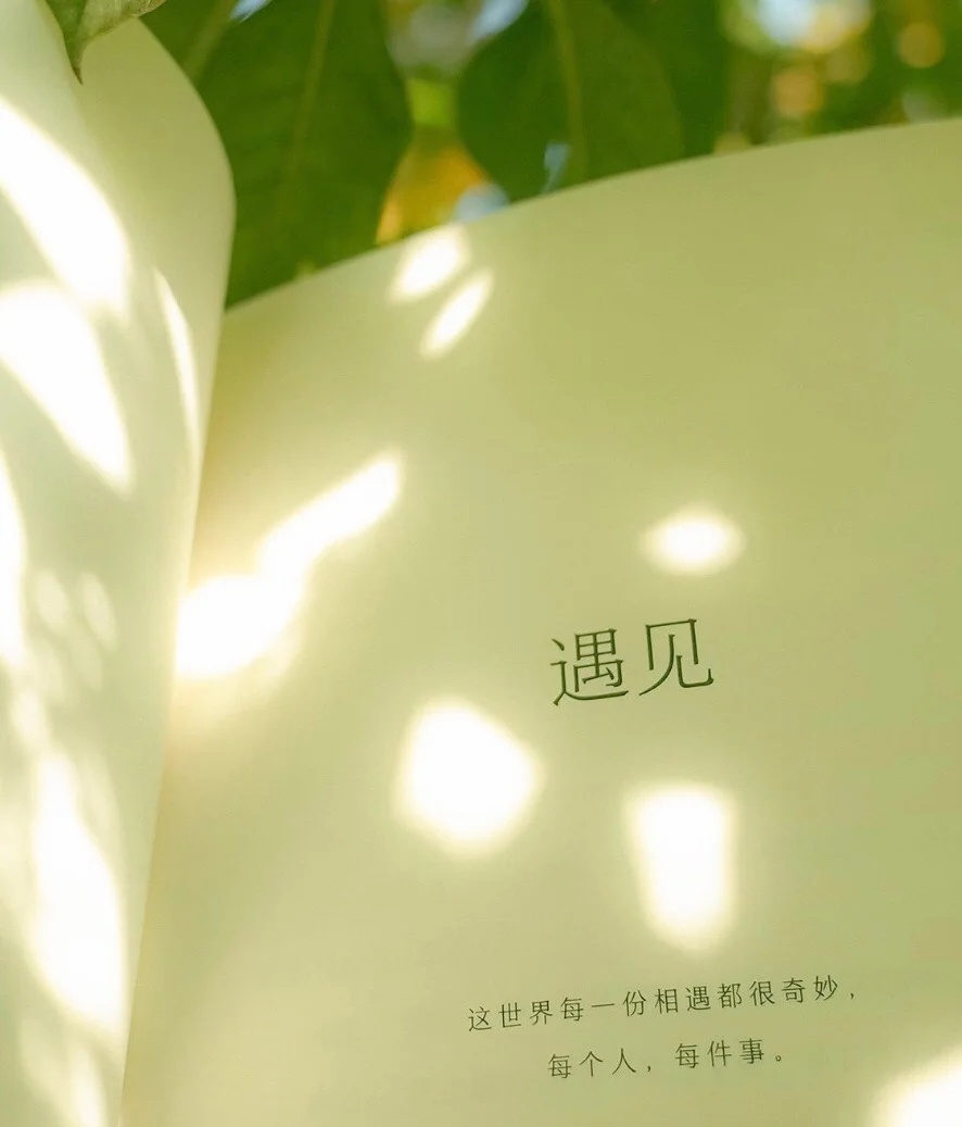 人生所有的美好，都是遇见。 
