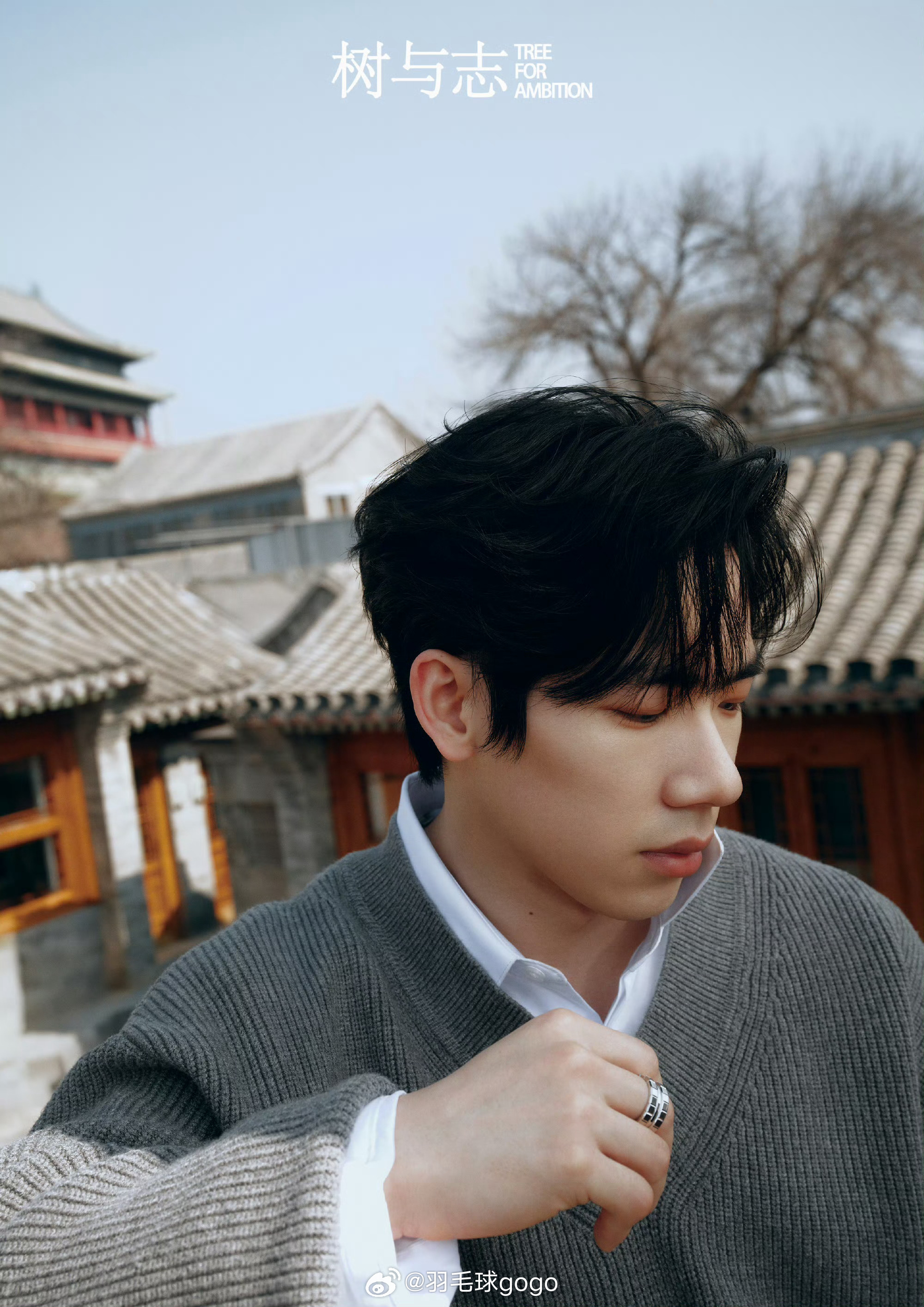 赛场像一座精确的天平，每个数字都在衡量着成败的重量。那之后的鲜花与泪水，其中的滋