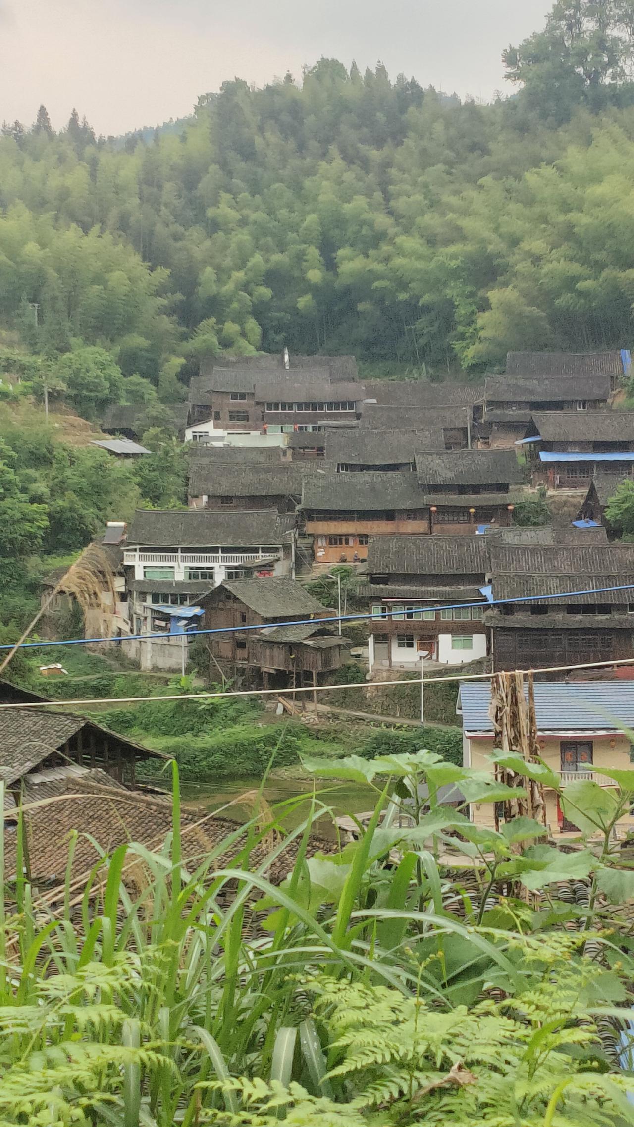分享一张你拍的美景照片美丽乡村一角