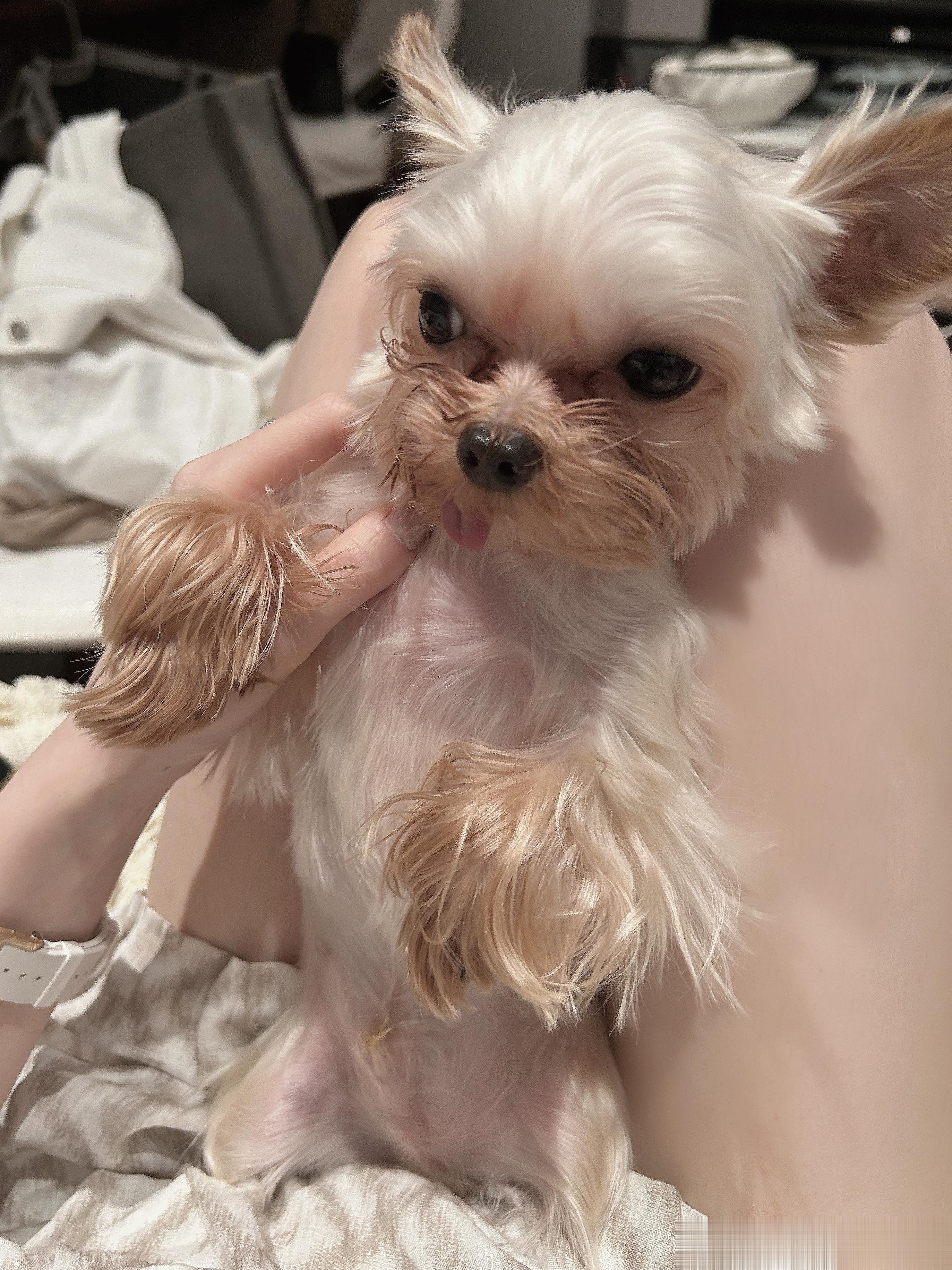 想明白了 远离消耗自己的人 ​​​