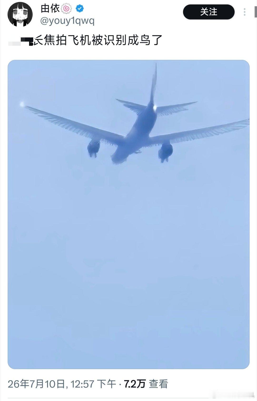 这是拍到鲲鹏了吧。 