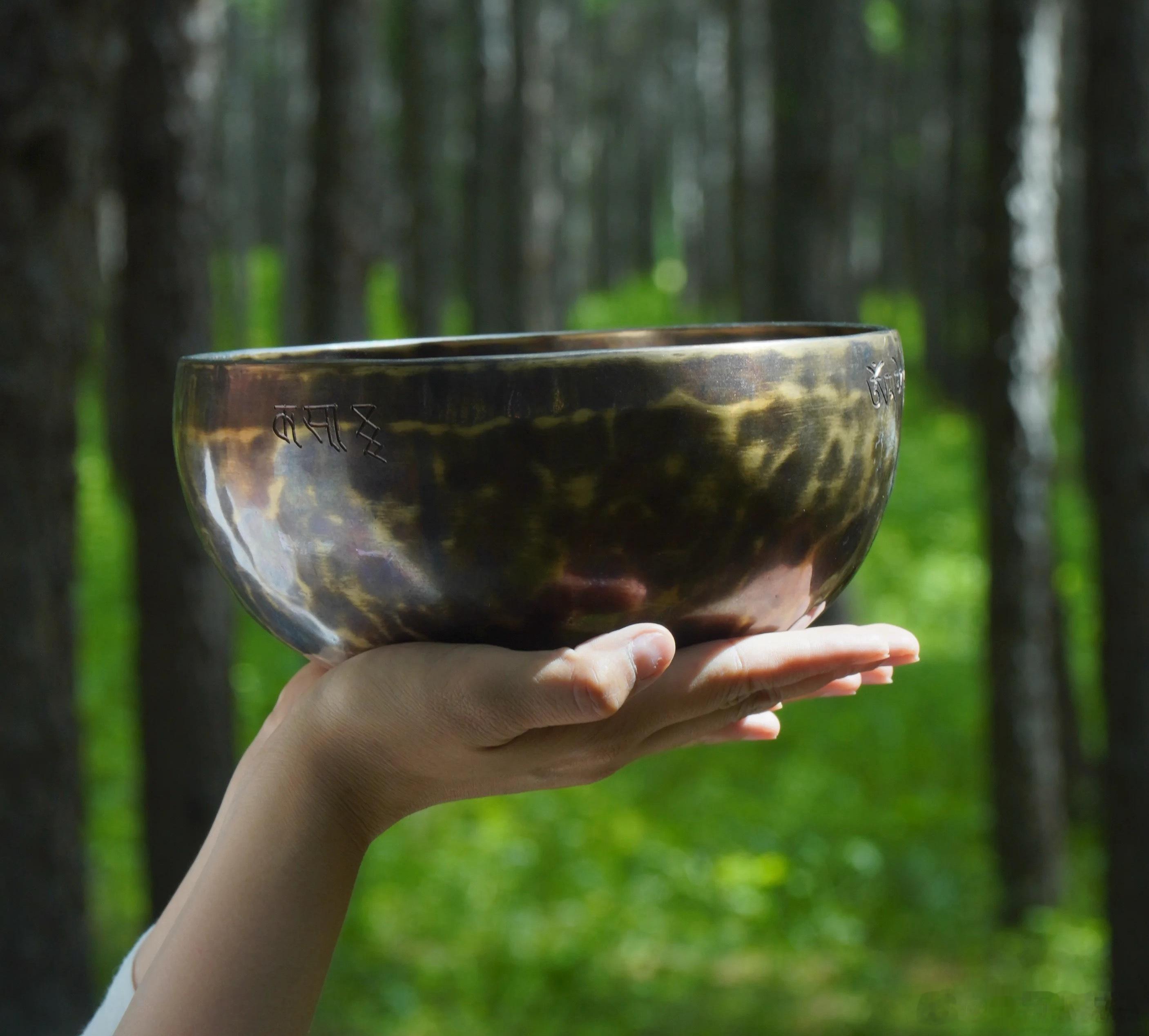 肖战一唱歌，观众belike： 