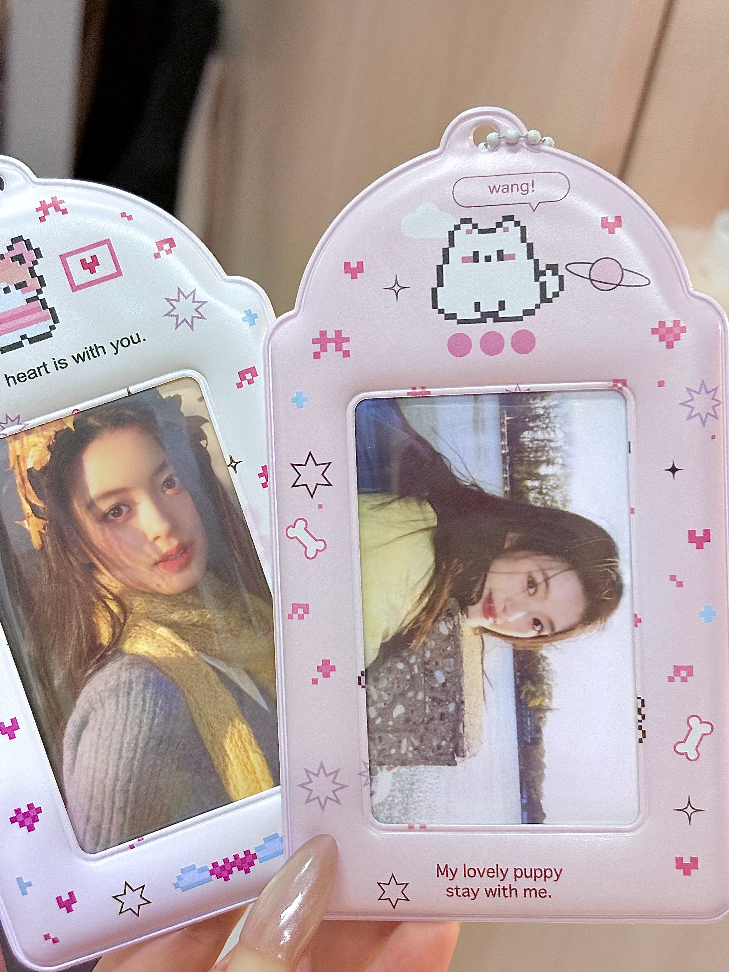 和家咪的美好生活