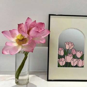 🌼 𝕗𝕚𝕣𝕤𝕥 ᵕ̈⁺¹ºº .ᐟ.ᐟ              昨