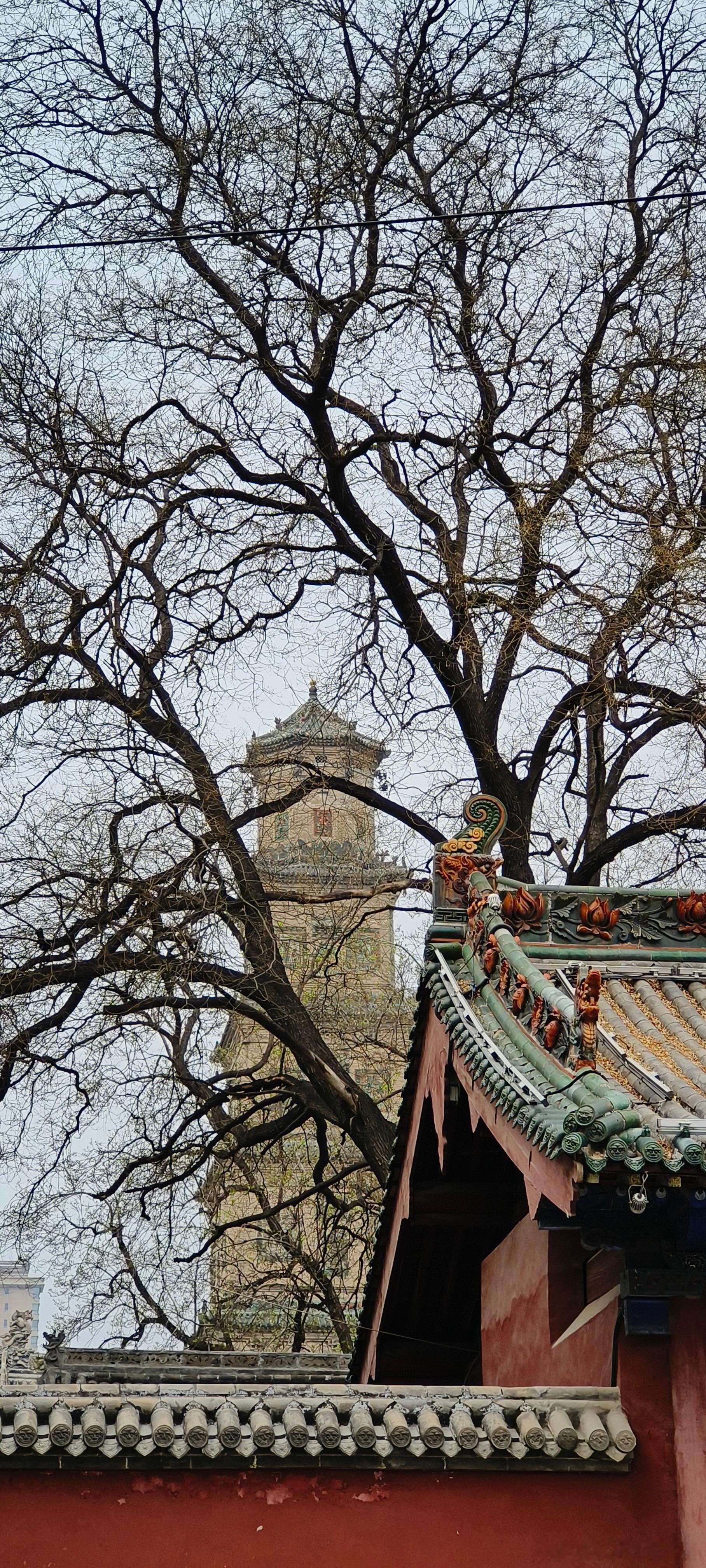 山西临汾  大云寺（铁佛寺） 