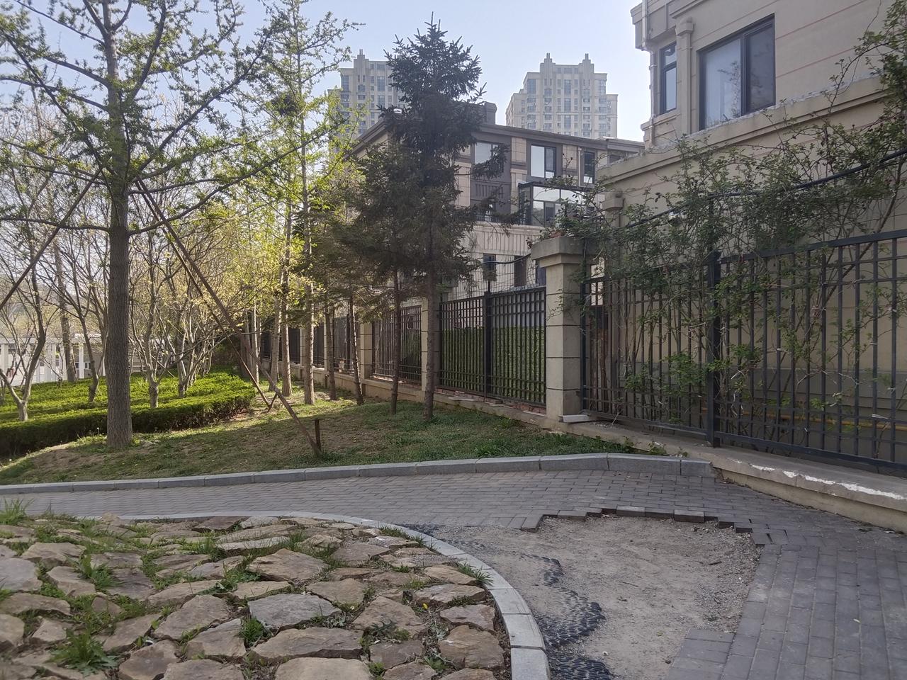 分享一张你手机相册里的一种绿植